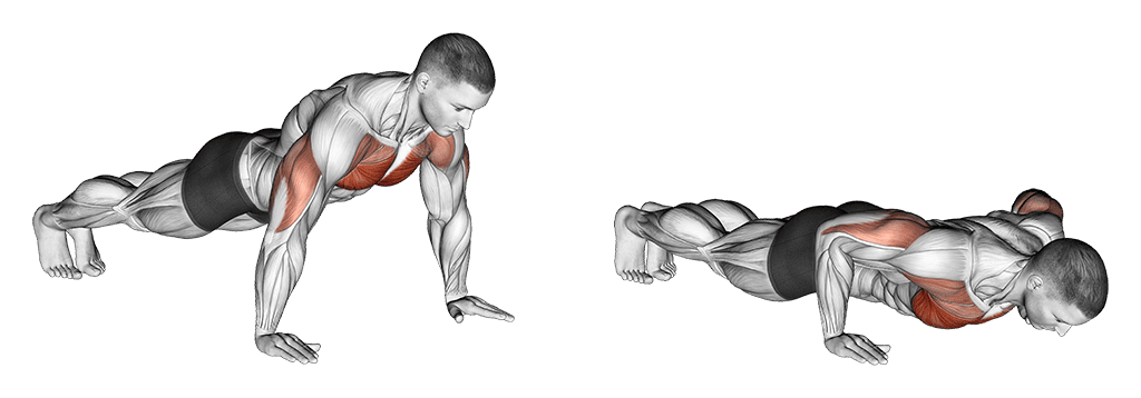 Push Up