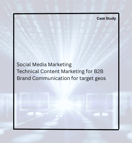 case study on b2b technology firm