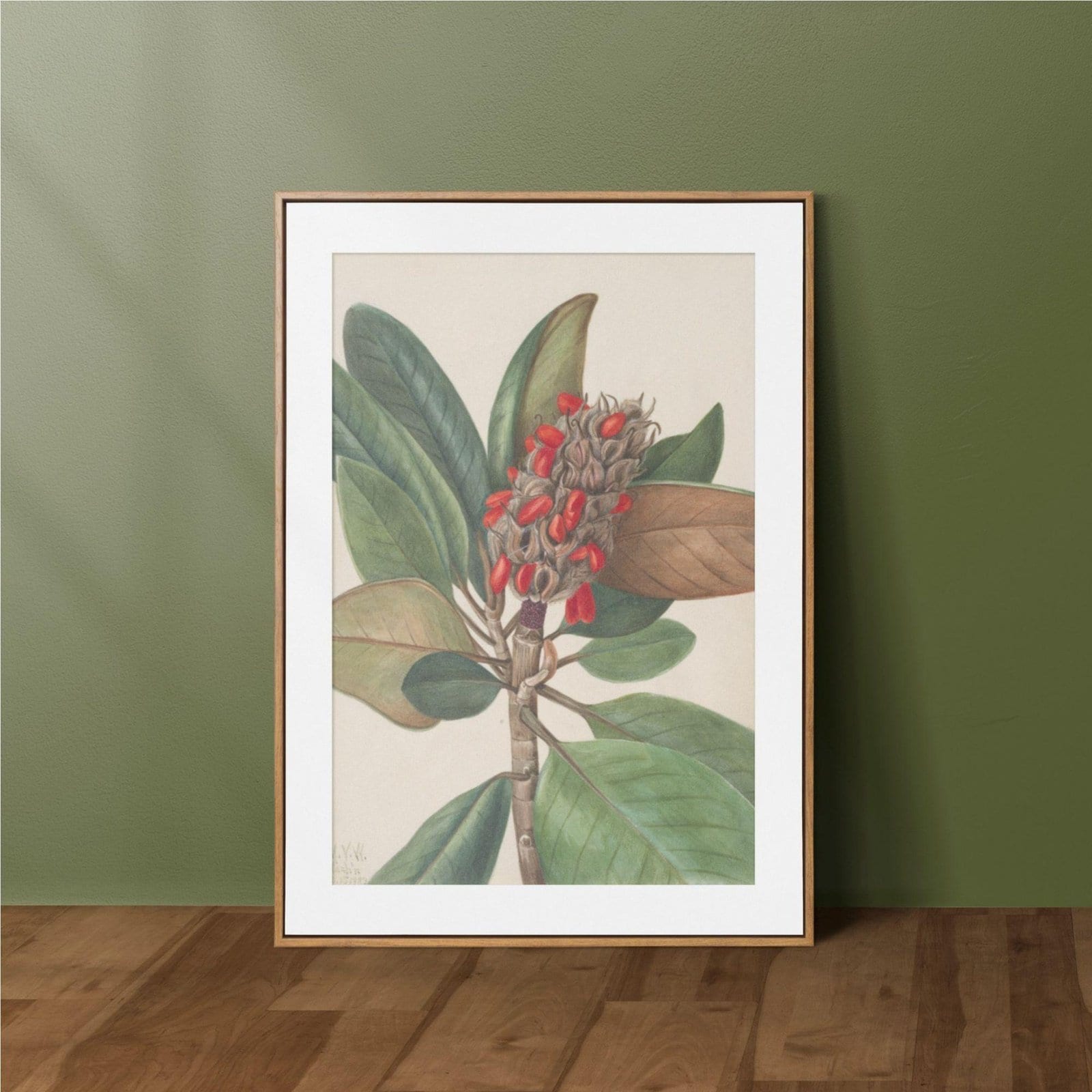il_fullxfull.7855939875_pv0k.jpg Mary Vaux Walcott - Printable Wall Art, American Artist, Vintage Botanical, Digital Download