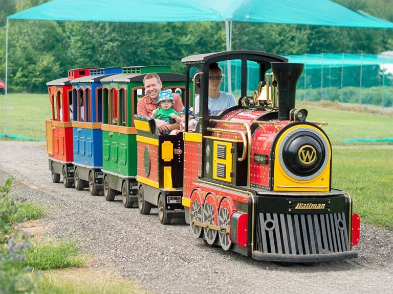 Berry picking train