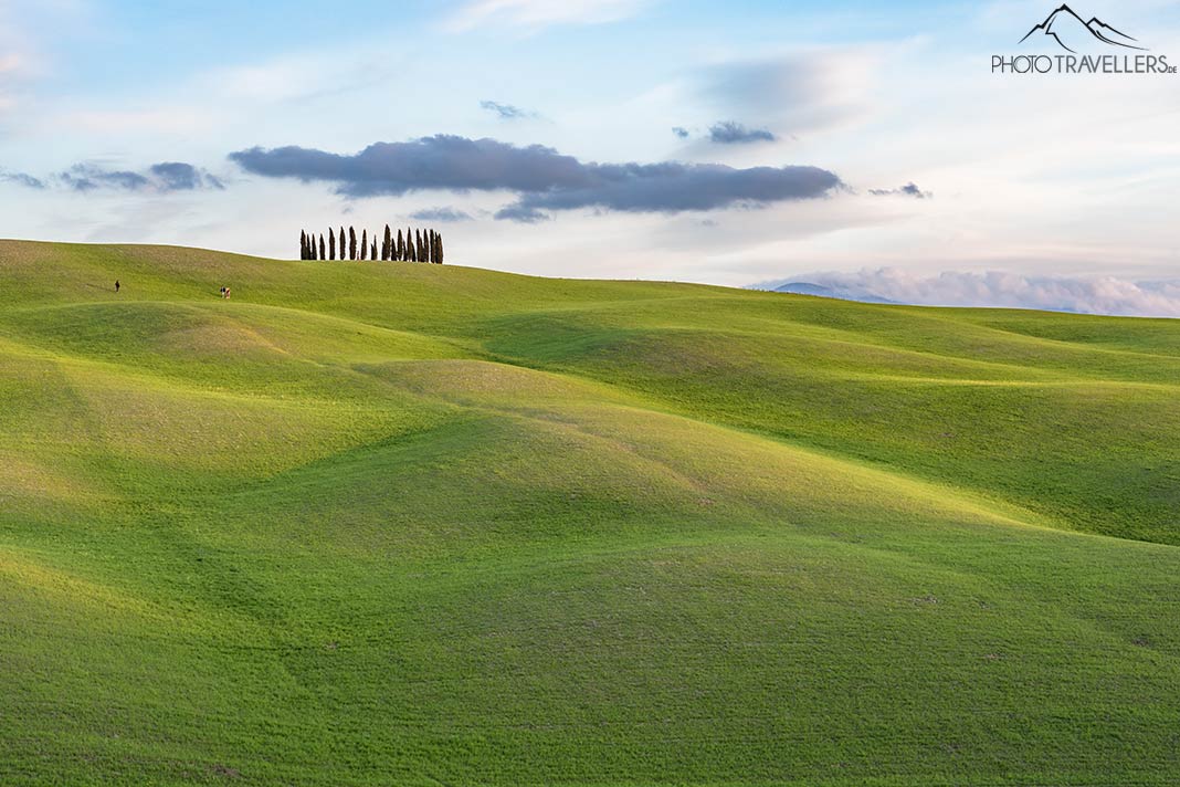 Der Zypressenring bei San Quirico d'Orcia