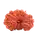 20 Mukhi Rudraksha