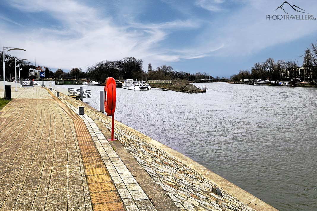 Gepflasterte Uferpromenade an der Oder mit Rettungsring
