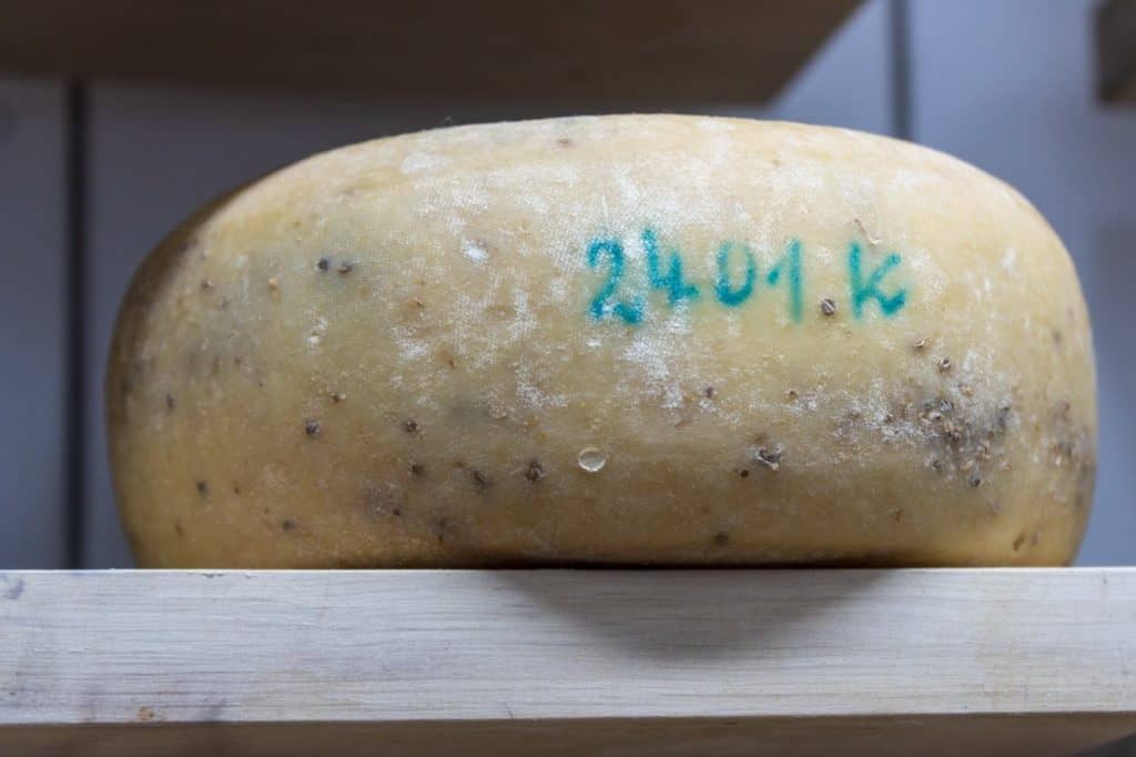 kozia farma w złotnej