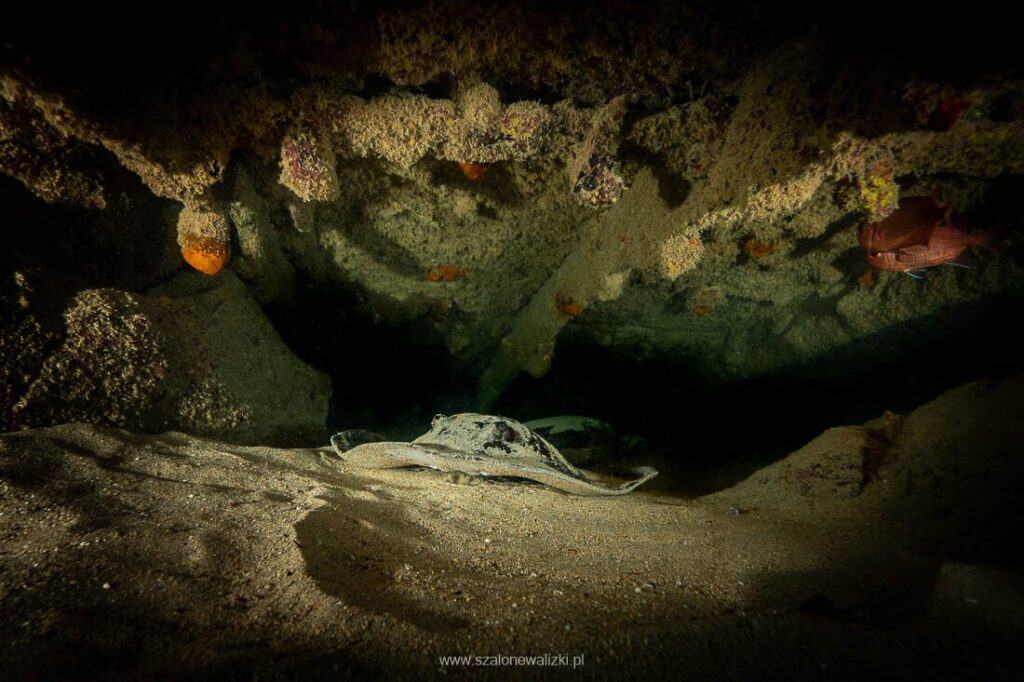 nurkowanie na cabo verde