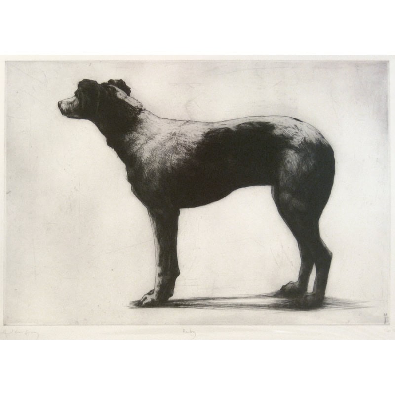 C3290 Ruby – Helen Fay