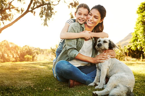 Visitation Rights vs. Custody | Divorce Attorney in Rochester, NY