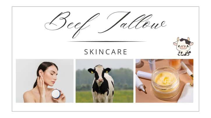 beef tallow skincare