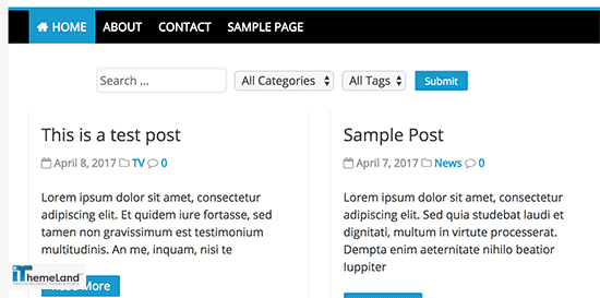 Filter posts by category and tags