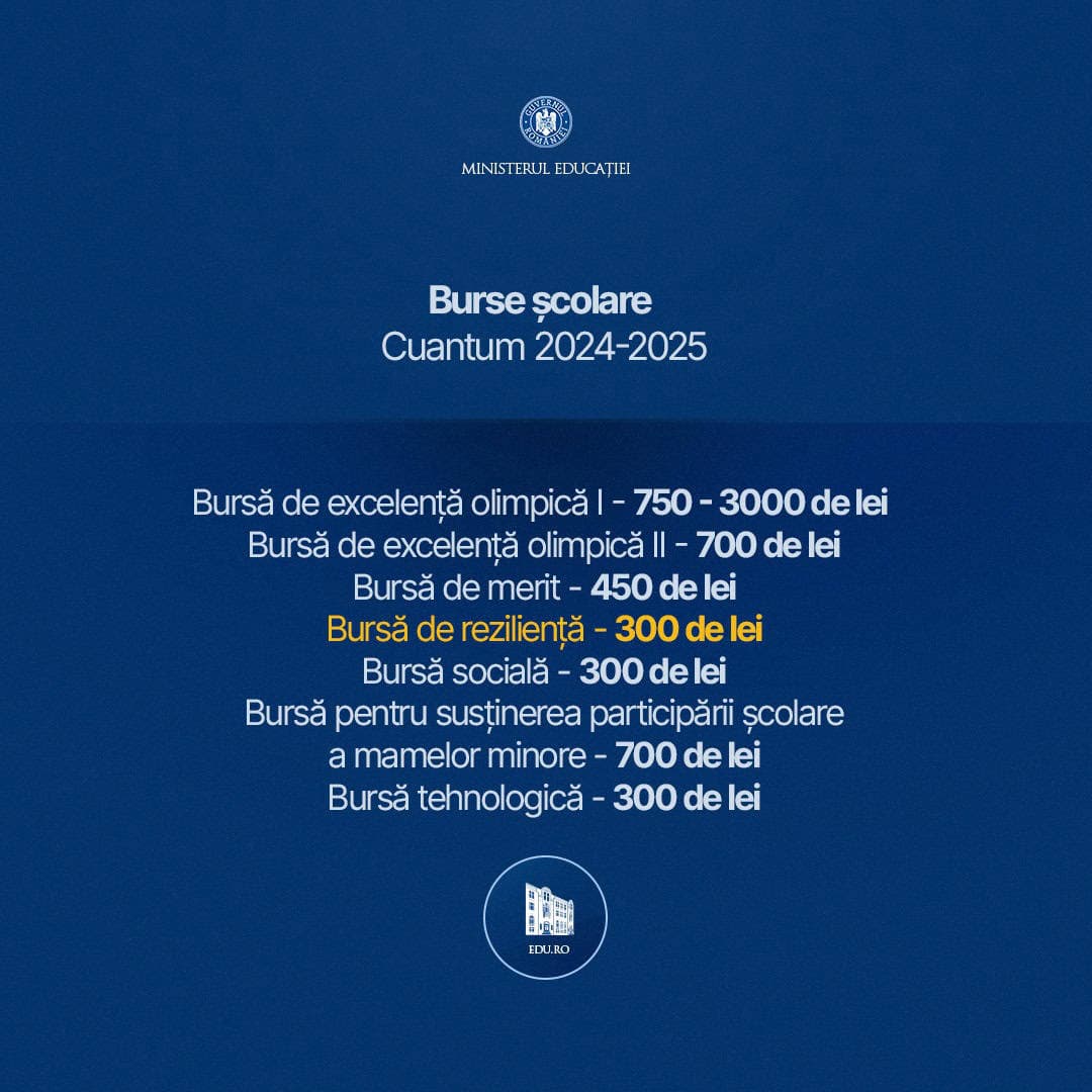 burse scolare 2024-2025