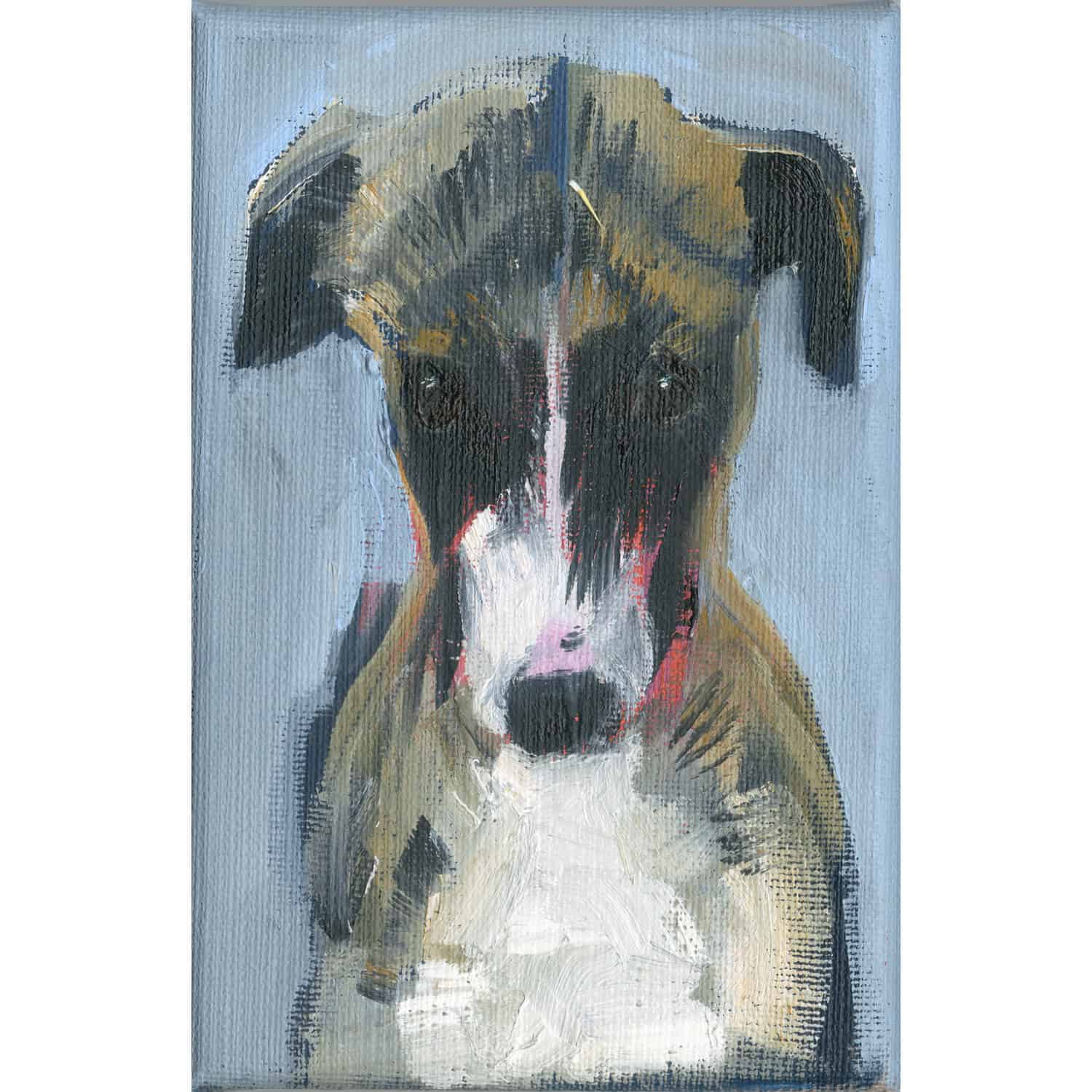 4734C Brindle Puppy on Light Blue – Sally Muir