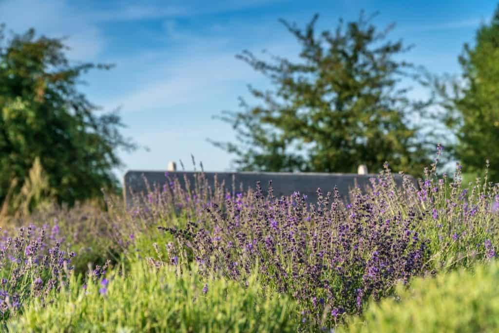 Warmia nie zawsze święta