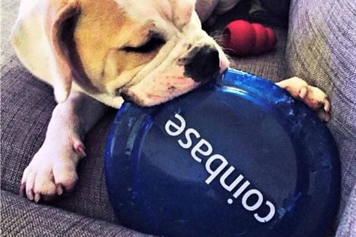 Users sue CoinBase's winning Dogecoin ad campaign 1 Users sue CoinBase's winning Dogecoin ad campaign