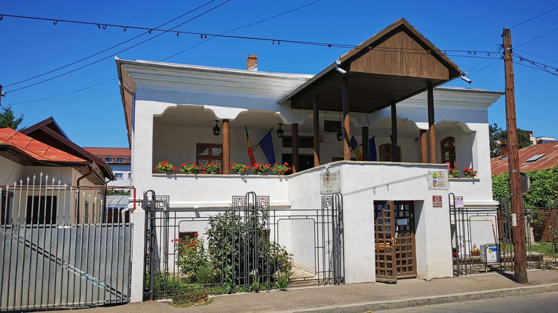 Muzeul Vergu-Mănăilă, Buzău