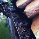 Professional gutter clearing service in Stoke-on-Trent—Williams Exterior Shine removes debris to prevent blockages and water damage