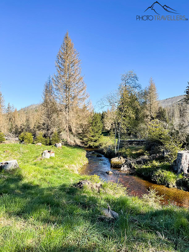 Der idyllische Bachlauf auf dem Weg zum Brocken-Gipfel