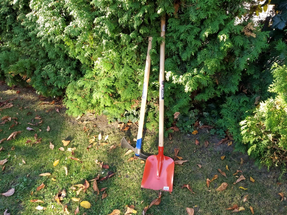 Thujahecke pflanzen – Anleitung mit Bildern thujahecke-pflanzen-schaufel-wiedehopfhacke