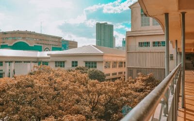 “我不是在作弊,而是在自救”——留学生论文困境背后的逻辑你了解吗?