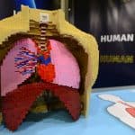 42638376_2154651438195241_4856495366138232832_o 42638376_2154651438195241_4856495366138232832_o