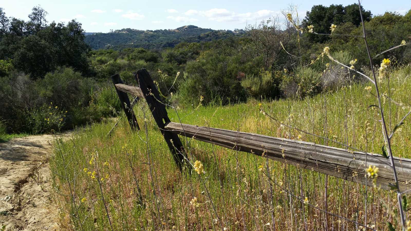 Iconic LA Tourist Attractions Devastated by Apocalyptic Wildfires