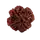 4 Mukhi Rudraksha