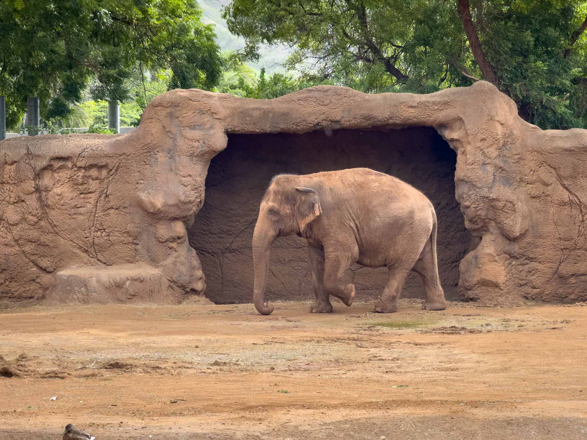 Honolulu Zoo - Go Oahu