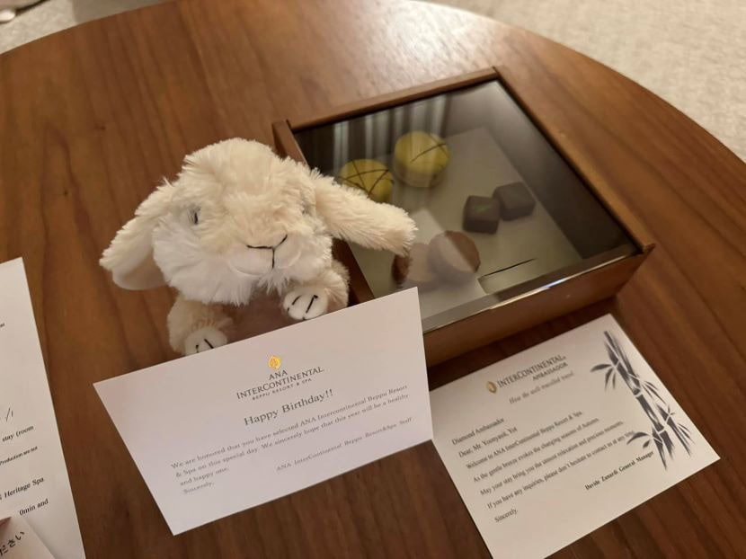 ANA InterContinental Beppu Resort & Spa Review - Japanese hospitality that exceeds expectations 3 Room ANA InterContinental Beppu Resort & Spa