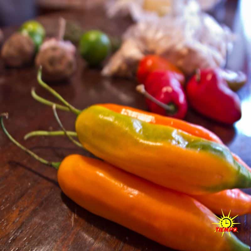 ingredientes_gastronomia_peru