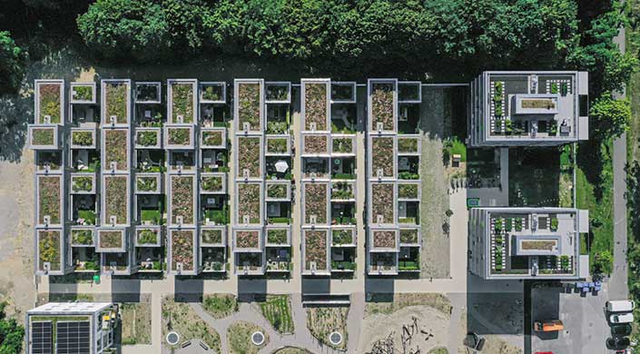 Luftaufnahme von begrünten Dachterrassen und modernen rechteckigen Gebäuden, mit Gehwegen dazwischen und einem angrenzenden grünen Waldbereich oben im Bild.