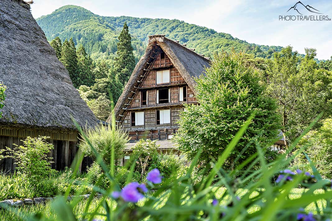 Ein Haus mit dem typischen Dach im Dorf Ogimachi