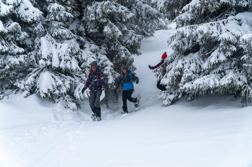szkolenie biwakowe na WinterCamp