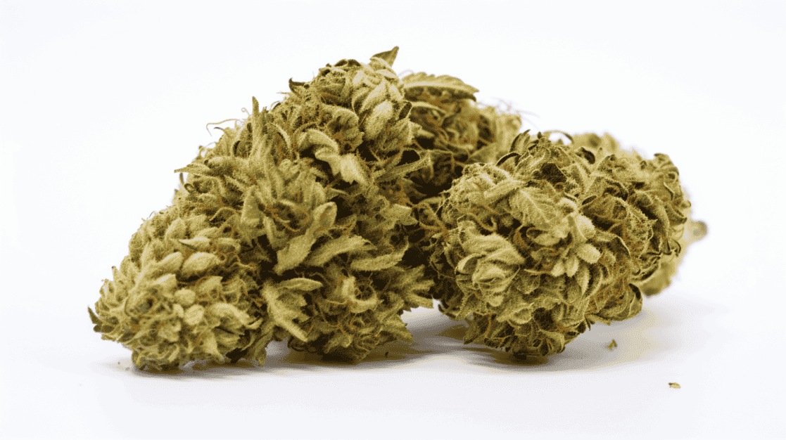 Cinnamon Roll OG Strain Cinnamon Roll OG Strain on a white background