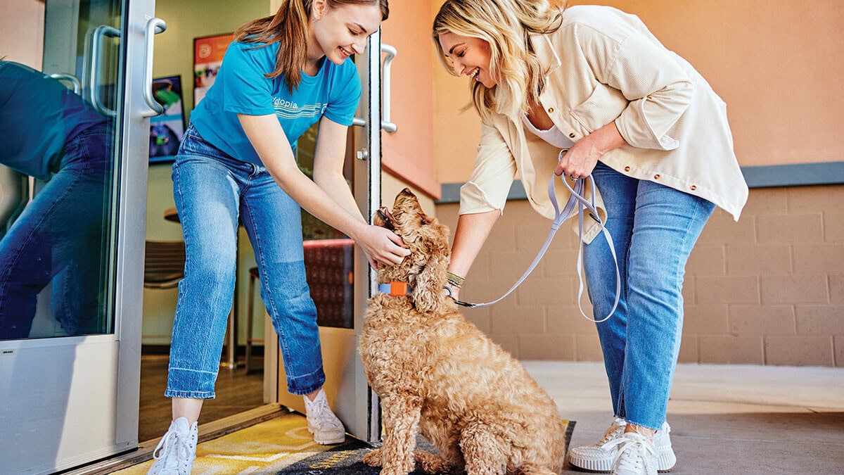 A Dogtopia team member welcomes a dog and pet parent at a daycare location. Image Courtesy of Dogtopia