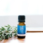 A small brown bottle of Rosemary Pure Essential Oil rests on a white surface beside fresh rosemary sprigs, set against a bright, blurred background.