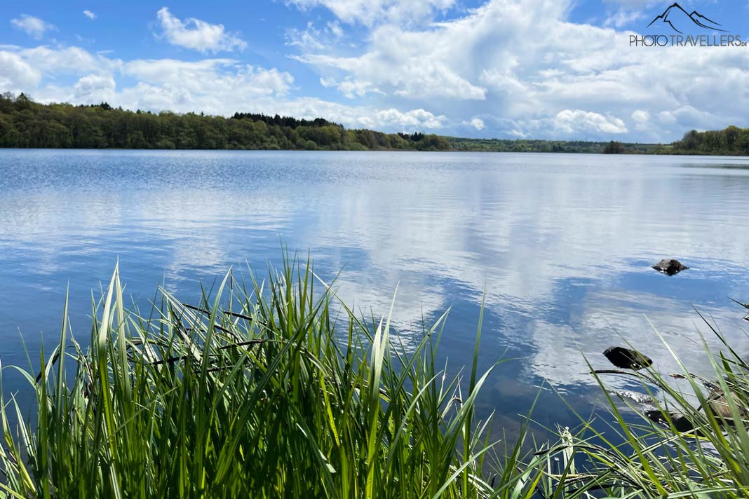 Blick vom Ufer auf den Dreifelder Weiher im Westerwald