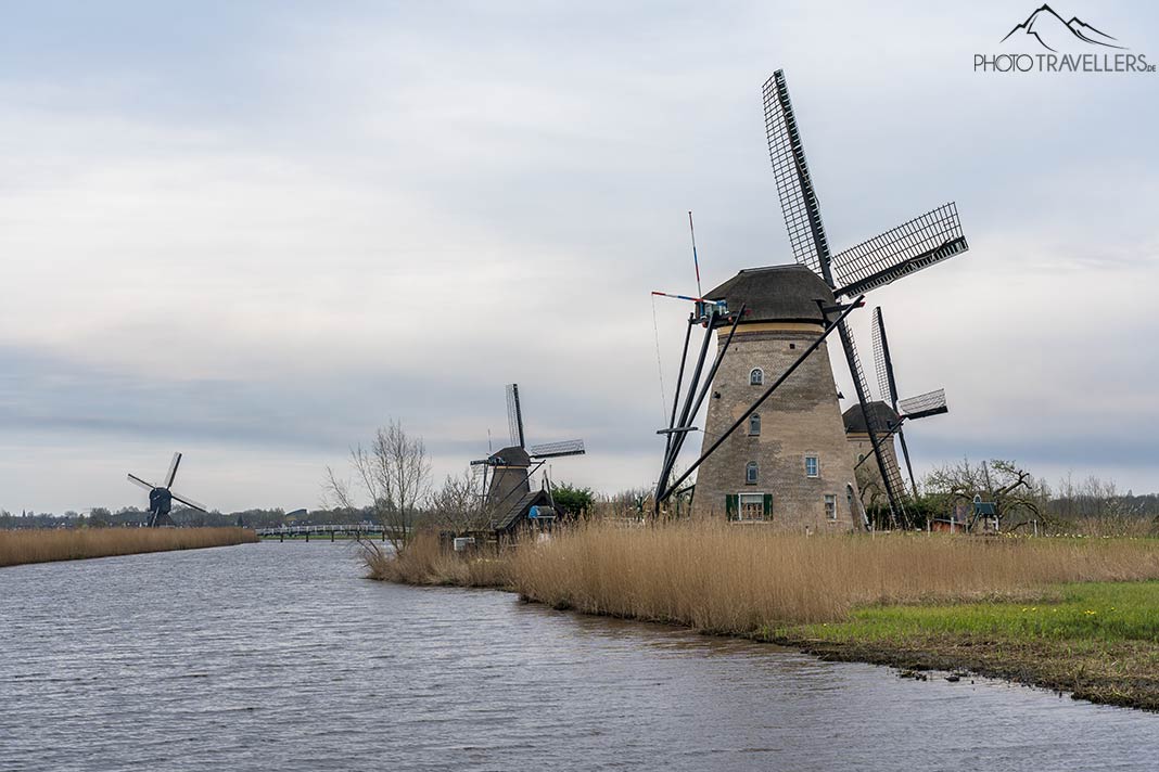 Blick auf die Mühlen von Kinderdijk in den Niederlanden