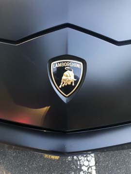 What are the Best Times to Visit New York? What are the Best Times to Visit New York? - Limousine Services NYC