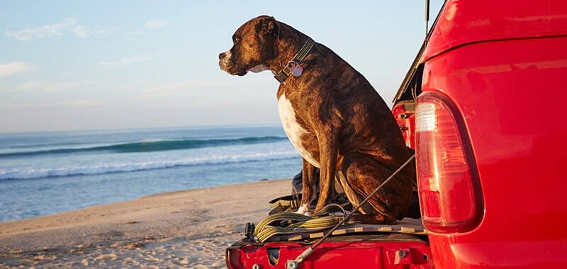 Ratenkredite mit Sebone Finance