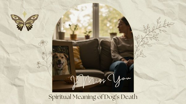 spiritual meaning of dog death