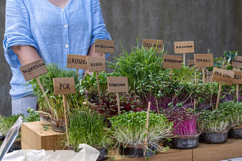 targ śniadaniowy w olsztynie