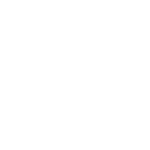 Made-in-Austria-Autopflegeprodutke-TopCar icon (2)