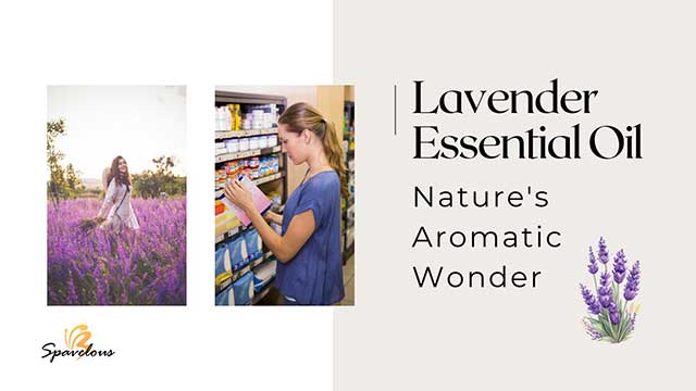 PURE LAVENDER ESSENTIAL OIL: CROWN JEWEL OF AROMATHERAPY 4 buying guide