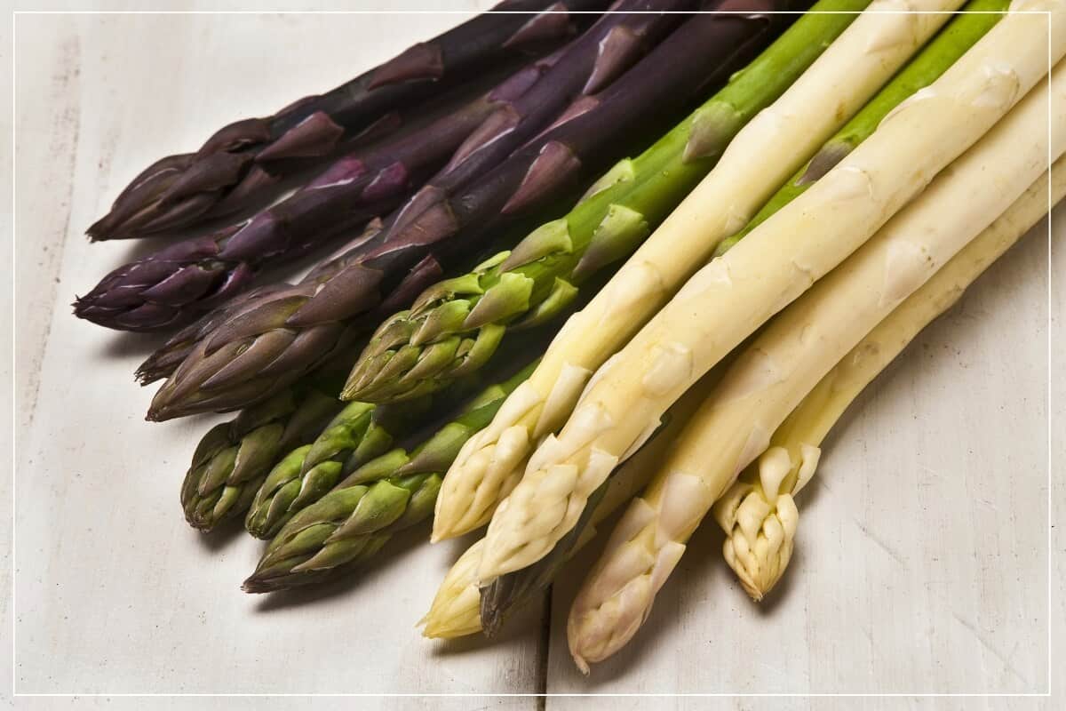 Weißer Spargel, grüner Spargel, violetter Spargel als Ofenspargel im Backofen gegart