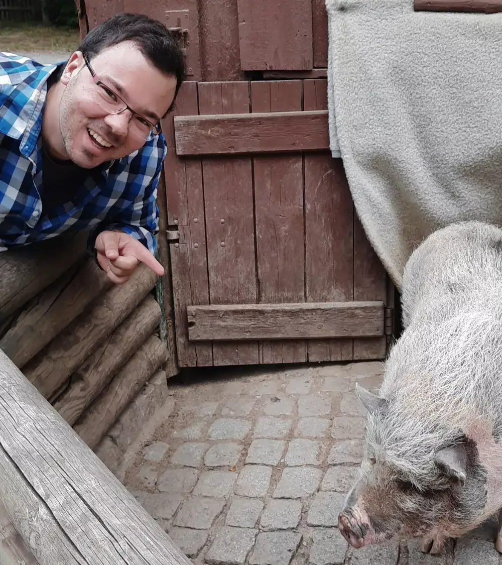 Mann zeigt auf ein Schwein.