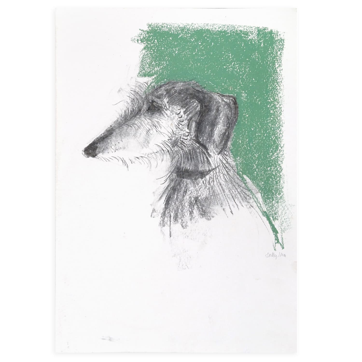 4723C Lurcher on Green – Sally Muir