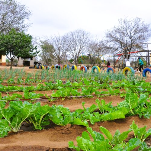Ernährungssicherung für Kinder in Südafrika