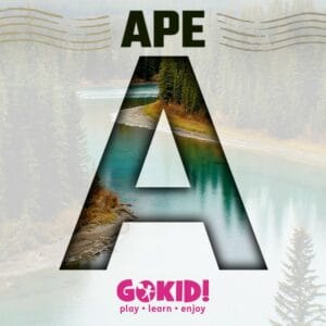 ape cu A lista completa TOMAPAN ape cu A lista completa TOMAPAN