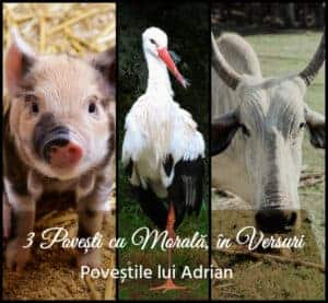 3 povesti cu morala in versuri gokid 3 povesti cu morala in versuri gokid