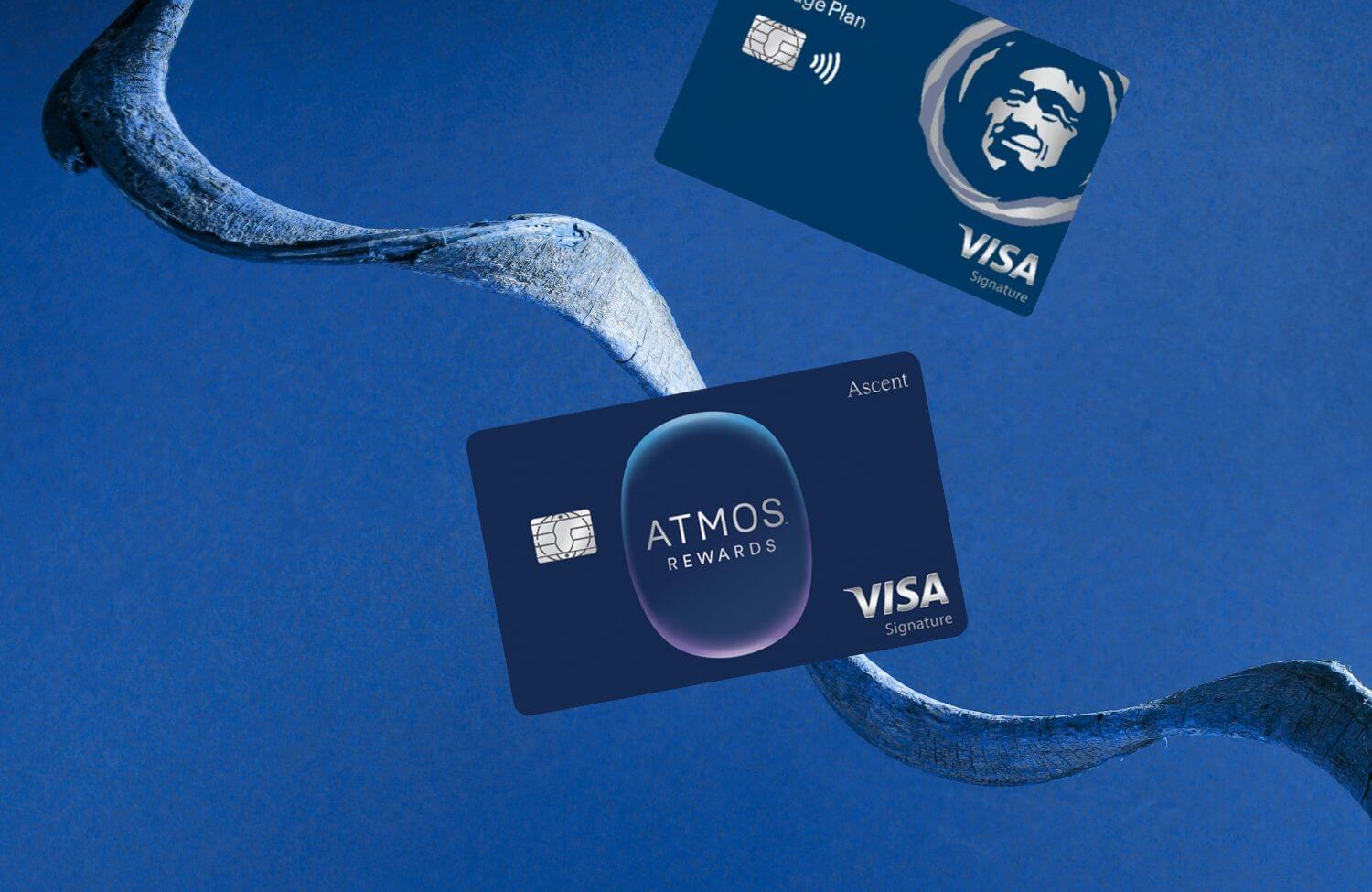 Atmos Rewards Ascent Visa: The Rebranded Alaska Airlines Signature Card That Changes the Game 5 atmos rewards ascent visa the rebranded alaska airlines signature card