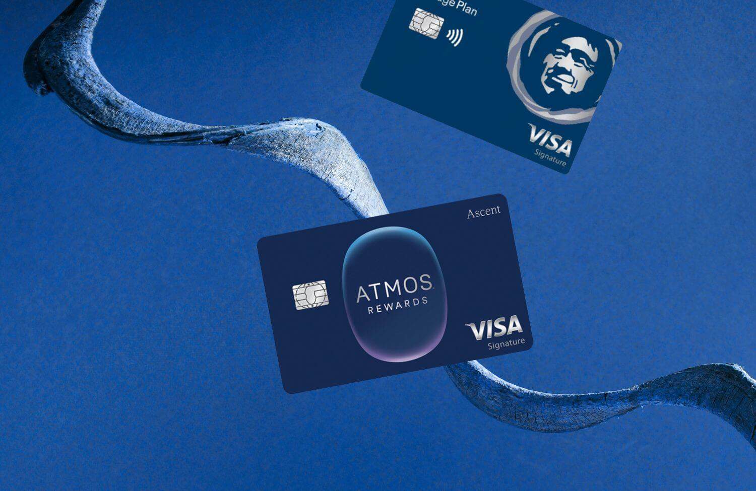 THE ATMOS REWARDS ASCENT VISA SIGNATURE CARD visual data 3